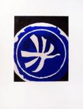  : braque-oiseau-blanc-lithographie