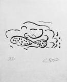  : braque-fleurs-bois