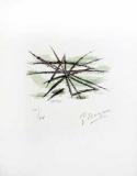  : braque-etang-lithograph