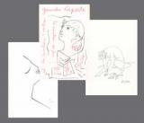  : cocteau-manteau-book