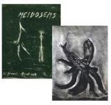  : michaux-meidosems-livre