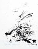  : zao-amadeus-lithograph