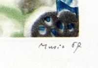 Signature of Zoran Music