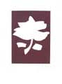 BRAQUE : La pivoine, gravure sur bois