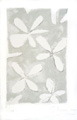 BRAQUE : fleurs blanches, lithographie