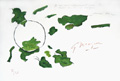 BRAQUE : le soleil, lithographie