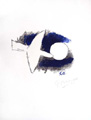 BRAQUE : oiseau, lithographie