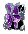 BRAQUE : braque iris