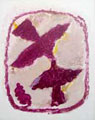 BRAQUE : oiseau fulgurant