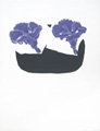 BRAQUE : braque volubilis