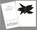 BRAQUE : braque-thouzon-livre