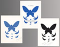 BRAQUE : braque-visible-livre