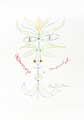 COCTEAU : cocteau-mourlot-lithographie