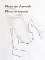 COCTEAU : cocteau-erotique-dessin