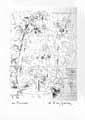 DE SEGONZAC : Les fuschsias, engraving