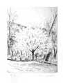 DE SEGONZAC : foret, etching