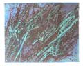 HAYTER : poissons volants, gravure