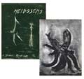 MICHAUX : michaux-meidosems-livre