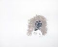 MUSIC : music-lithographie-cadastre