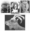 PICASSO : Picasso / Villers, Diurnes