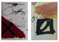 TAPIES : tapies-brossa-book