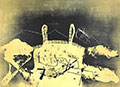 TAPIES : tapies-dentelle-etching