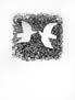 couple oiseaux, �tat 1