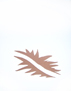 la feuille morte, premier �tat