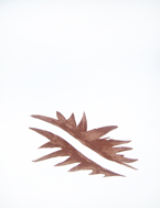 Georges Braque feuille morte