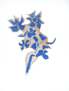 Braque le giroflee bleu quatri�me �tat