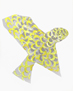 Georges Braque le rapace �tat 3