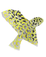 Georges Braque le rapace