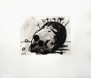 BARCELO : cranium, etching
