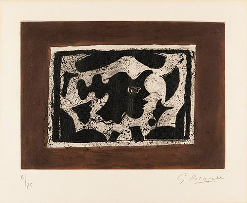 BRAQUE : braque-tete-brune