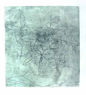 BRAQUE : Le lierre, etching