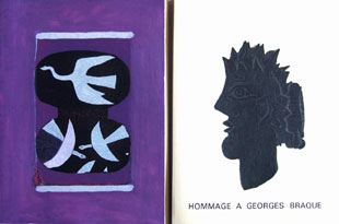 BRAQUE : dlm braque, deluxe