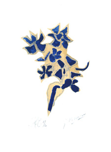 BRAQUE : braque giroflee bleu