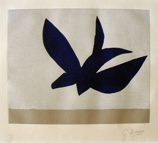 BRAQUE : braque-oiseau-gravure