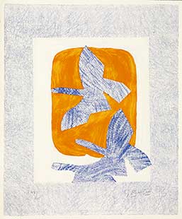 BRAQUE : oiseaux-en-vol