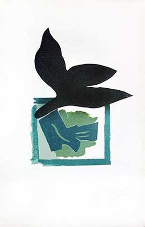 BRAQUE : braque-oiseau-fond-noir