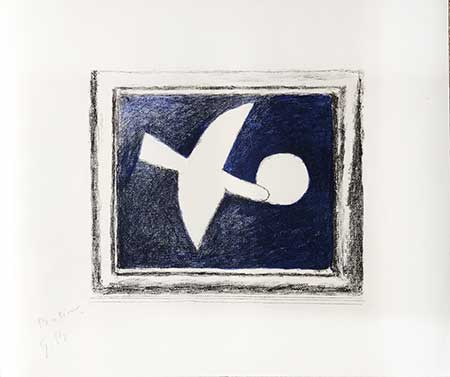 BRAQUE : astre-oiseau-braque