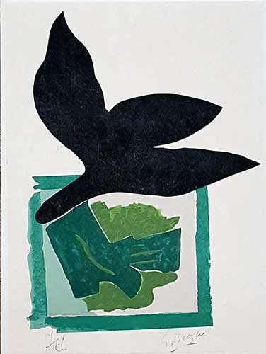 BRAQUE : oiseau-fond-vert