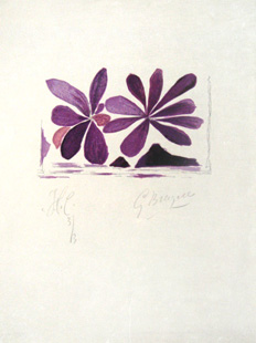 BRAQUE : braque-fleurs