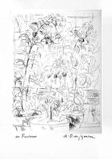 DE SEGONZAC : Les fuschsias