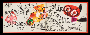 MIRO : miro-penalites-livre