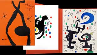 MIRO : miro-essences-livre