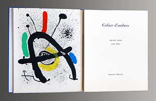 MIRO : miro-cahier-livre