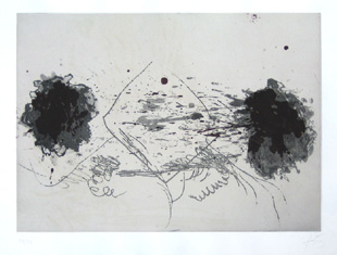 TAPIES : composition symetrique