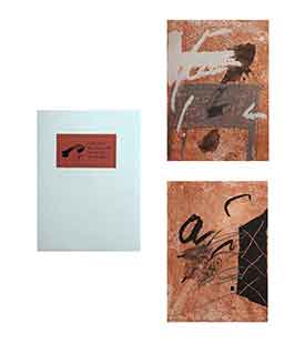 TAPIES : tapies-bois-book