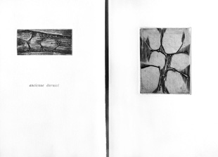 UBAC : ancienne eternite, book